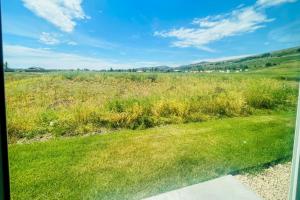 a view of a field of grass and weeds at Avani Home, Dog friendly, close to Market, Marina in Garden City