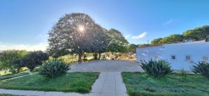 a walkway next to a white building and a tree at Portela Guesthouse in Cercal