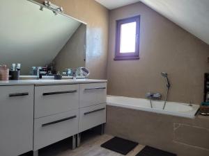 a bathroom with a sink and a bath tub at Escapade Romantique, Salon cathédrale, Strasbourg in Schiltigheim