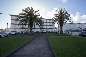 蓬塔德爾加達的住宿－Garden Apartment, great for couple - Ponta Delgada，两棵棕榈树,在一座建筑前