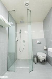 La salle de bains est pourvue d'une douche et de toilettes. dans l'établissement Pensiunea Terra, à Bistriţa