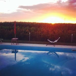 un pájaro de pie junto a una piscina con puesta de sol en B&B Ai Prati, en Monestirolo