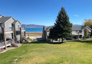 a row of houses with a tree in the yard at 14-Plex 218 in Garden City