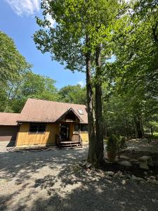 Příroda nedaleko prázdninového domu