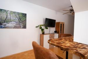 TV a/nebo společenská místnost v ubytování Apartment inmitten der Stadt Leoben.