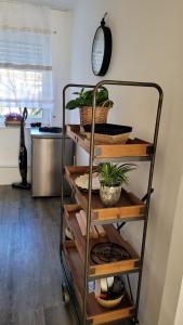 a shelf with plants on it in a room at Mia Casa in Kehl am Rhein +24 photos
