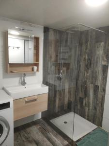 a bathroom with a sink and a shower at Charmant T2 spacieux au pied de Montdauphin in Eygliers