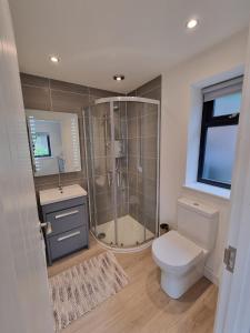 a bathroom with a shower and a toilet and a sink at The Garden Room in Henley on Thames