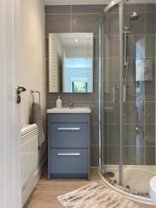 a bathroom with a shower and a blue vanity at The Garden Room in Henley on Thames