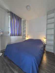 a bedroom with a blue bed and a window at Chez Laurette in Balaruc-les-Bains +8 photos