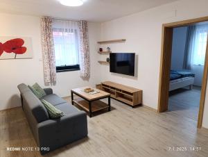 TV a/nebo společenská místnost v ubytování Apartmány Zdíkov