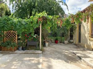 a garden with a pergola with plants and flowers at Paisible, Paris, Tram 9mim, RER C 15min - Genius in Vitry-sur-Seine
