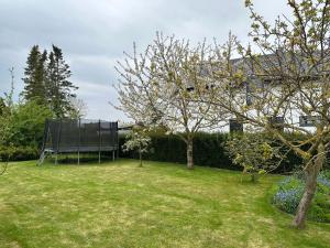 Zahrada ubytování Ferienhaus Haus Nordlicht + 4 fotografie