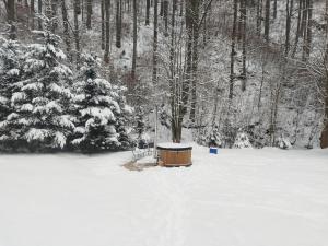 Horská chata 049 Prkenný Důl, Žacléř, Krkonoše v zimě