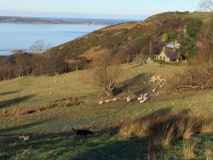 Foto da galeria de Rhiwiau Guesthouse em Llanfairfechan