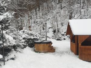 Chata 70 Dřevěnka Prkenný Důl, Žacléř, Krkonoše v zime