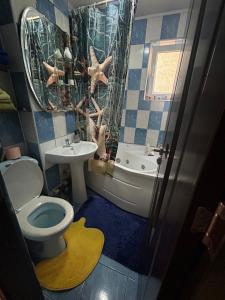 un bagno con un water e un lavandino di Ingrid home 3 camere a Vatra Dornei