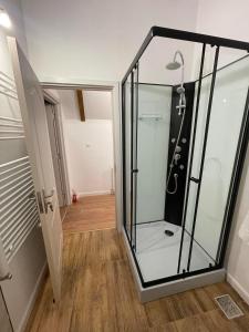 a glass shower in a room with a hallway at Casa Vonvea in Ocna Şugatag +21 photos