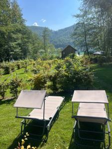 two picnic tables in the grass in a field at LUX PENTHOUSE Klopeiner See Apartment Ferienwohnung FeWo in Sankt Kanzian