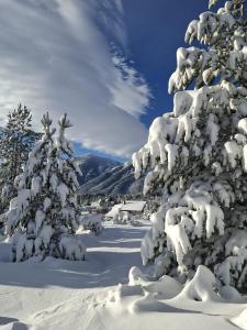 Green cottage v zimě