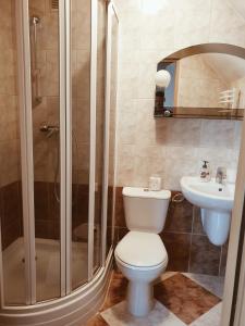a bathroom with a toilet and a shower and a sink at Go2Krynica - Zielony PitStop in Krynica Zdrój +22 photos
