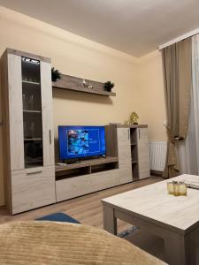 TV a/nebo společenská místnost v ubytování Jokica apartmani