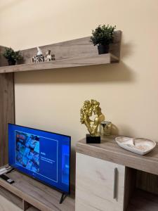 TV a/nebo společenská místnost v ubytování Jokica apartmani