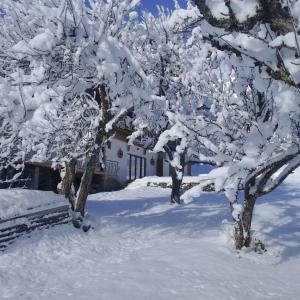 Φωτογραφία από το άλμπουμ του Studio LE FLOCON σε Hauteluce