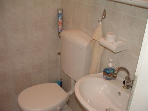 a bathroom with a toilet and a sink at Apartments Dinka in Mirce
