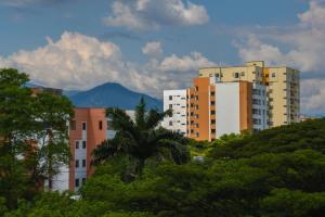 un gruppo di edifici in una città con una palma di Apartamento Sur De Cali Santa Anita Excelente Ubicación a Cali