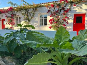 Vườn quanh Quinta Castor