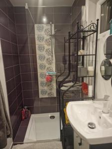 a small bathroom with a shower and a sink at ULALA CHARLEROI AIRPORT Bruxelles in Pont-à-Celles