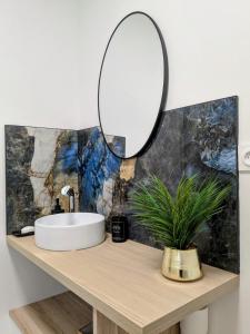 a bathroom with a sink and a mirror on a counter at Le chaleureux, T2 avec balcon in Roanne +11 photos