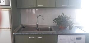 a kitchen with a sink and a potted plant at Los Molinos in Valles de Ortega