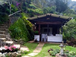 Zahrada ubytování Finca Felidia-corregimiento de la leonera vereda el Porvenir el Eden