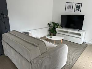 a living room with a couch and a tv at SAS Apartments in Bochum