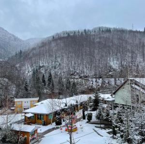 冬天的Hotel Gryka