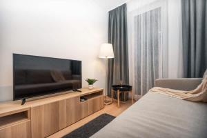 - une chambre avec une grande télévision à écran plat sur une armoire en bois dans l'établissement City Center Apartment - Modern & Elegant, à Bratislava