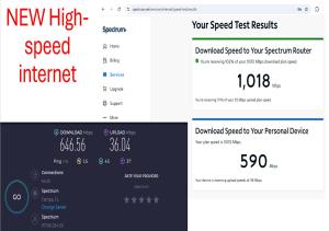 Afbeelding uit fotogalerij van Palm Villa Hostel in Tampa