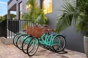 Jízda na kole v ubytování The Rover Miami nebo okolí
