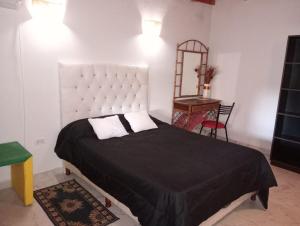 a bedroom with a large bed and a mirror at Agua de Oro antistress cabana in Agua de Oro