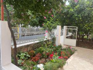 Zahrada ubytování Apartments with parking spaces Orebic, Peljesac - 4527