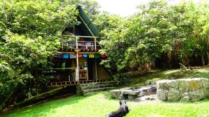 Zahrada ubytování Glamping El Árbol en la Casa