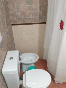 a bathroom with a toilet and a sink with a ladybug on the curtain at Alodelrafa in San Lorenzo
