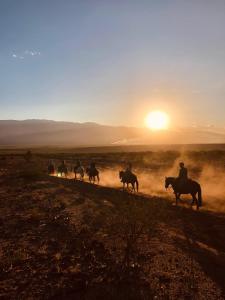 Gallery image of Residencia Don Lago in Animaná