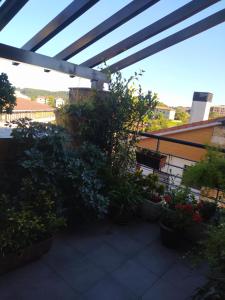 eine Terrasse mit Topfpflanzen auf einem Gebäude in der Unterkunft Casa Las Marzas-El Boj in Colombres