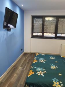 a bedroom with blue walls and a bed with a blanket at Apartment Trendy Brian in Vulcan +3 photos