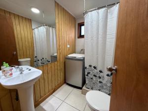 un bagno con un lavandino e una doccia di Cabañas Kreuzburg a Futrono