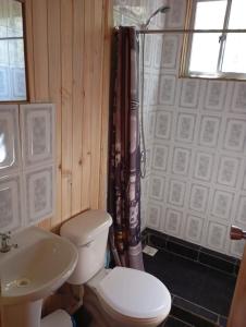 a bathroom with a toilet and a sink and a shower at Cabaña el descanso in Pelluhue