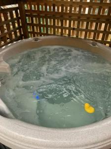 a rubber duck sitting in a jacuzzi tub at SEAS THE DAY Hottub Pets in Gibsons